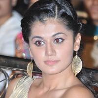 Taapsee at Mogudu audio Launch - Pictures | Picture 100602